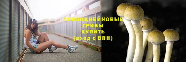 дурь Алзамай
