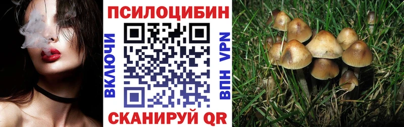 Галлюциногенные грибы Cubensis  мега   Тобольск 
